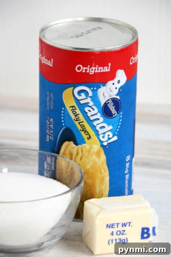 A vibrant selection of sweet and savory Canned Biscuit Recipes, including pastries and breakfast bites, beautifully plated.