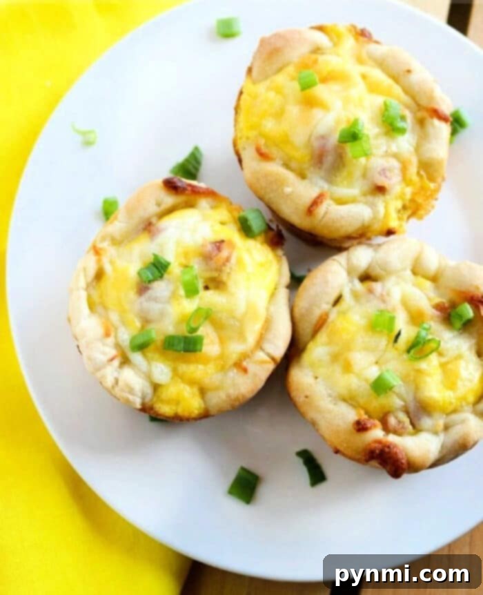 A diverse selection of Canned Biscuit Breakfast Recipes, featuring savory muffins, sweet pastries, and pull-aparts, artfully arranged on a light background.