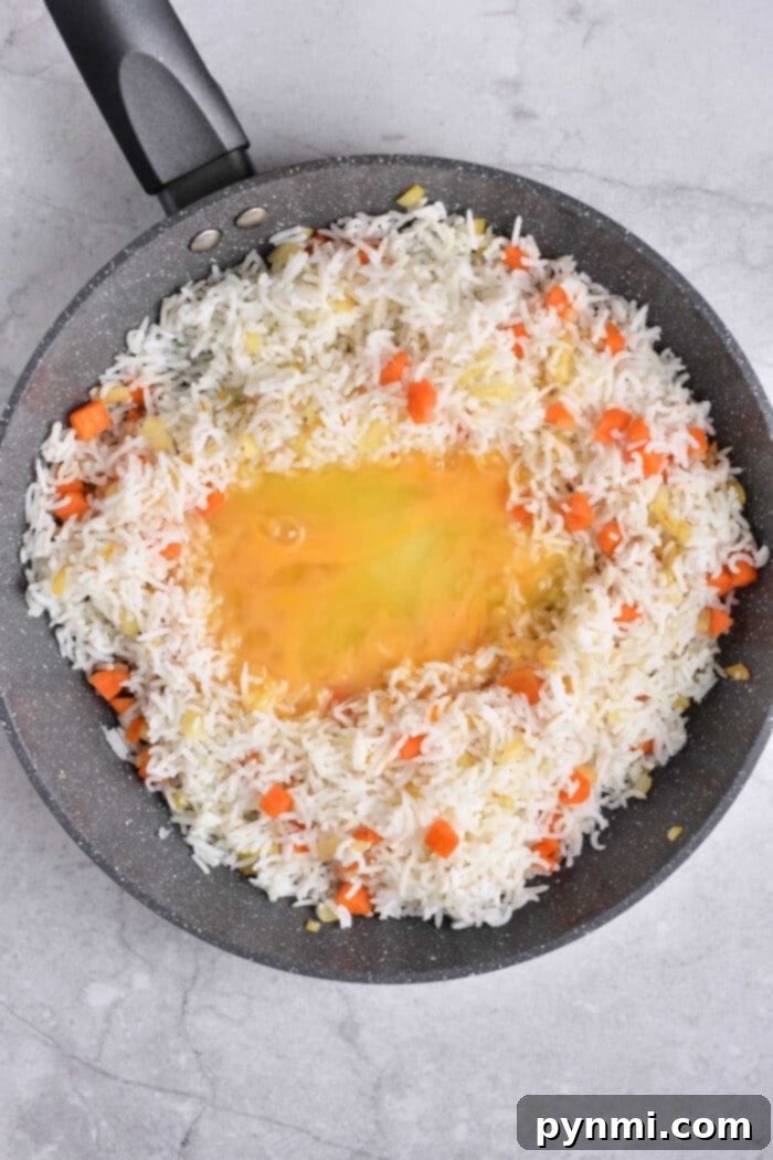 Steak Fried Rice