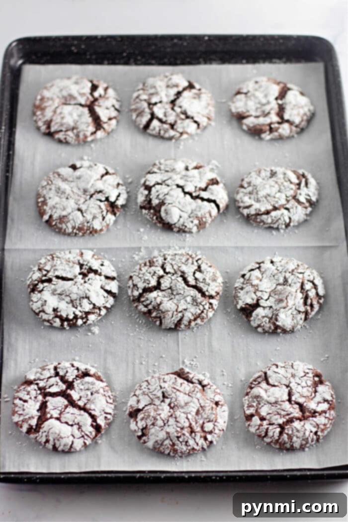Cloud Nine Cake Cookies 2 Cookies Made with Cool Whip