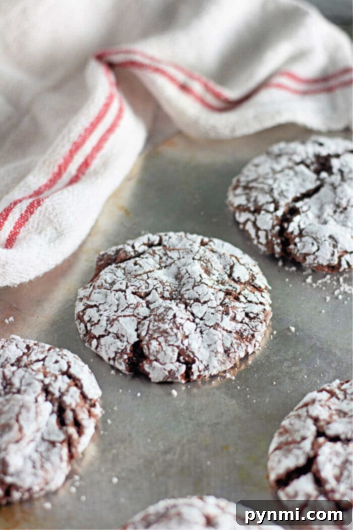 Cloud Nine Cake Cookies 6 Cool Whip Cookies