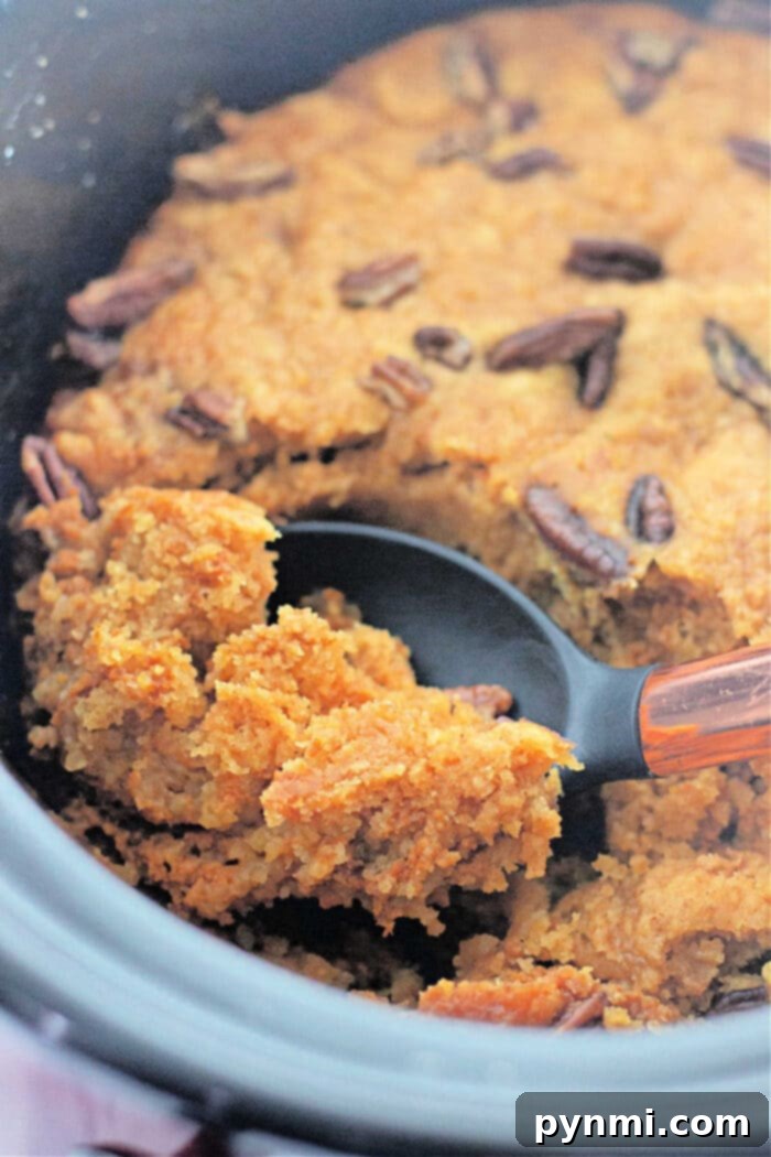 Slow Cooker Pumpkin Perfection 2 Close-up of a warm crockpot pumpkin dump cake, as a serving spoon elegantly scoops it out, highlighting its moist texture and rich color.