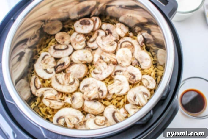 Meatball Stroganoff Recipe served in a bowl