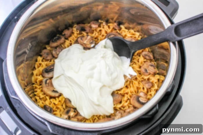 Stroganoff with Meatballs served for dinner