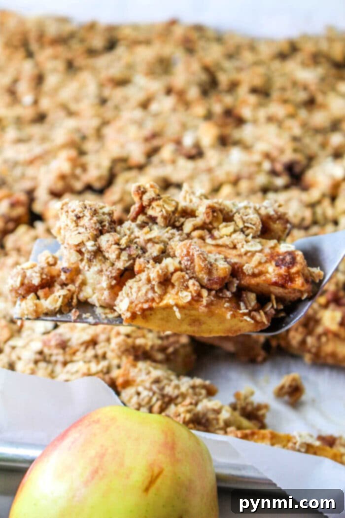 Warm Cinnamon Apple Slices 2 Delicious Baked Apple Slices Recipe with Oat Crumble Topping