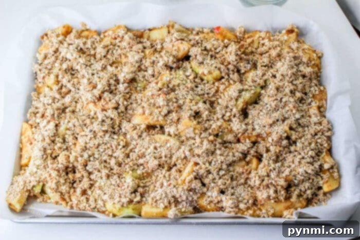 Warm Cinnamon Apple Slices 6 Baked Apple Cobbler with Crispy Oat Topping