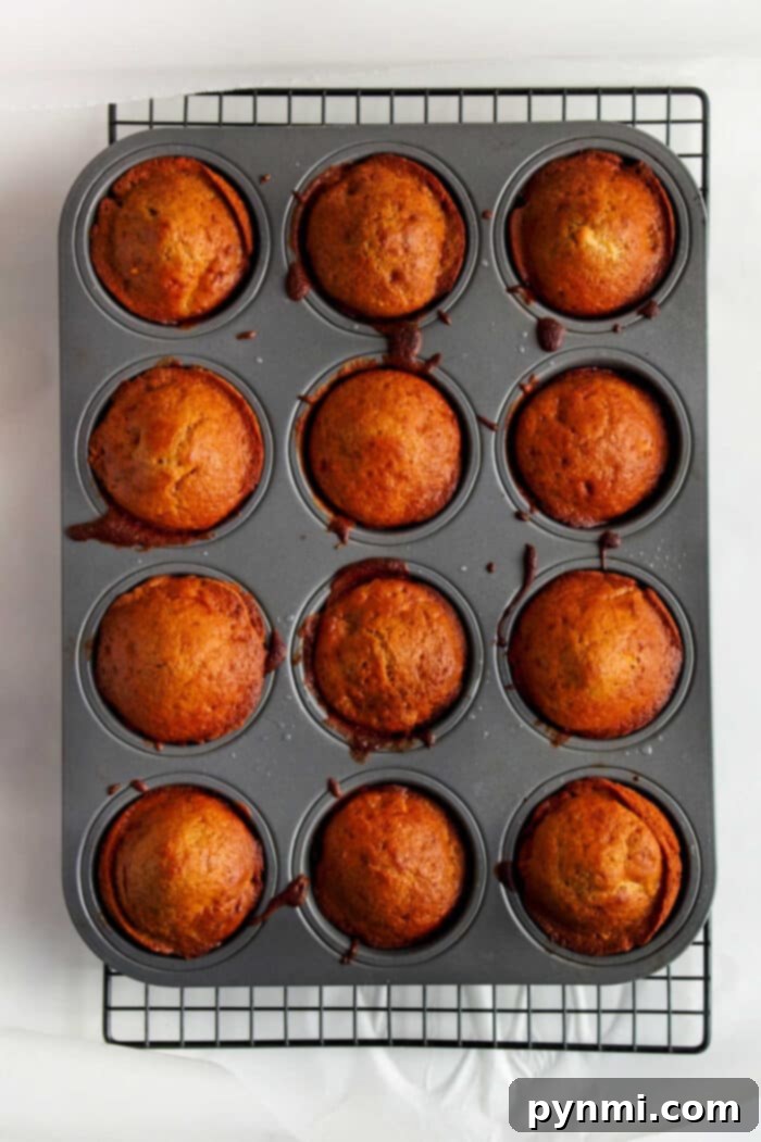 Muffin Tin Apple Fritters, beautifully arranged and ready to be served.