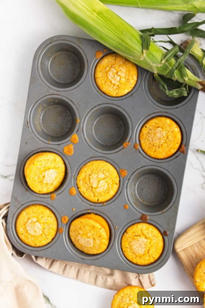 Golden Dairy-Free Cornbread 5 A warm, golden-brown dairy-free cornbread muffin, perfect for breakfast or a side dish.