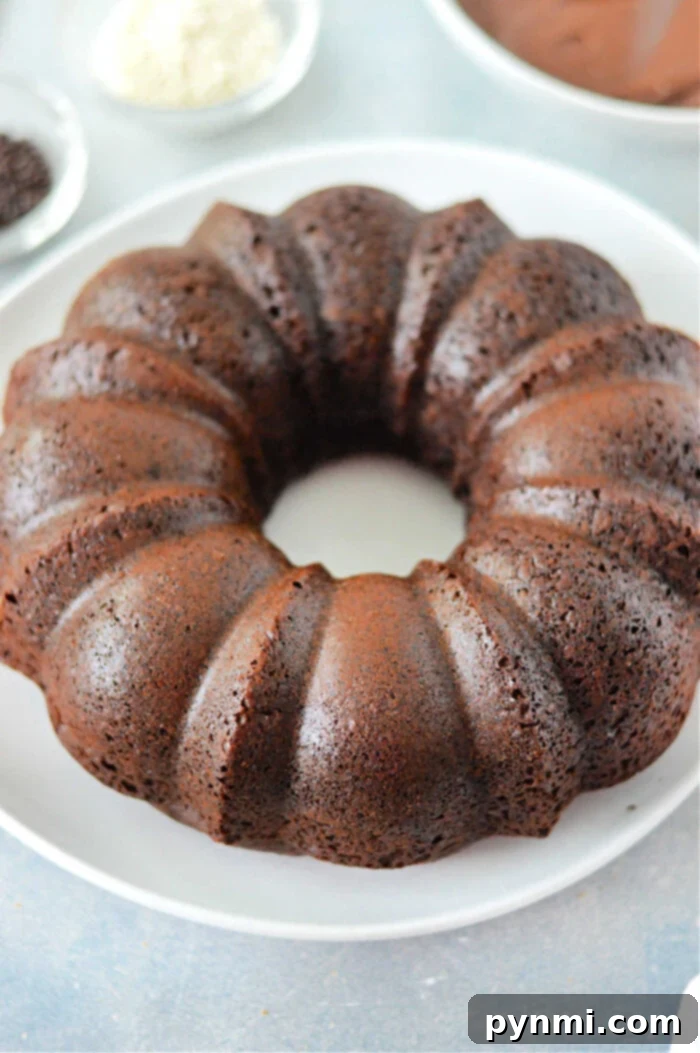 Decadent Cake Mix with Pudding and Sour Cream 5 A magnificent chocolate bundt cake, prepared using a cake mix enhanced with pudding, proudly displayed on a pristine white plate. The cake boasts a deep, rich brown color and the elegant, fluted design characteristic of a bundt pan. The background is softly blurred, showing glimpses of bowls holding potential toppings or other ingredients, creating a focus on the exquisite cake itself.