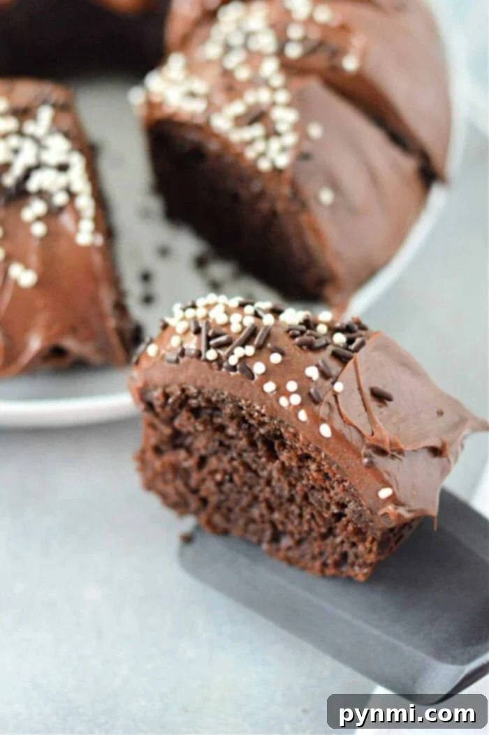 Decadent Cake Mix with Pudding and Sour Cream 6 A close-up view of a perfectly cut slice of chocolate cake, enriched with pudding and sour cream, showcasing its irresistible moistness. The slice is beautifully adorned with a generous layer of chocolate frosting and a playful scattering of white and dark round sprinkles. It is being delicately held by a sleek black spatula, with the remainder of the cake still visible on a white plate in the softly blurred background.