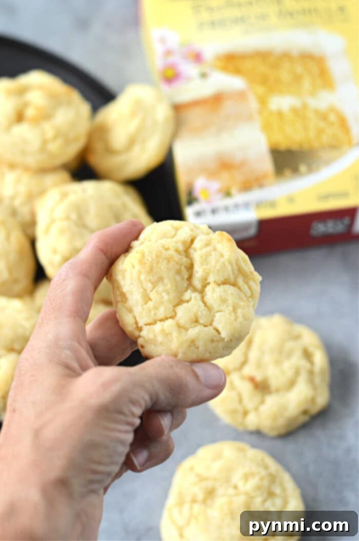 Velvety Cream Cheese Cake Mix Cookies 2 Cake Mix Cookies with Cream Cheese