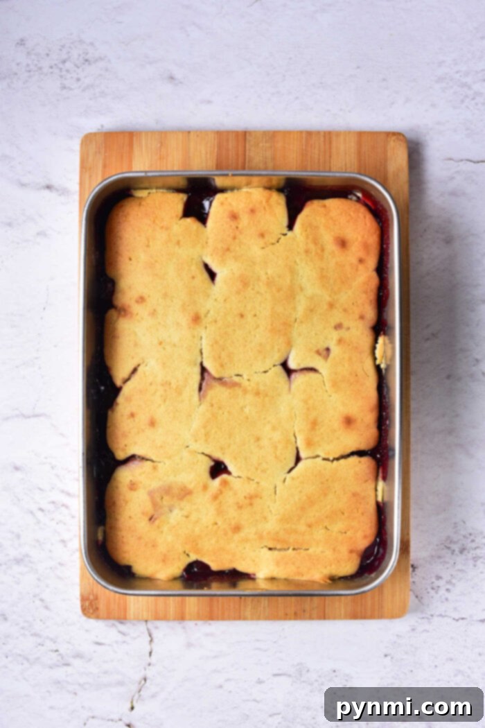 Simple Homemade Cherry Cobbler 8 Easy Cherry Cobbler made with fresh cherries, garnished with a sprig of mint