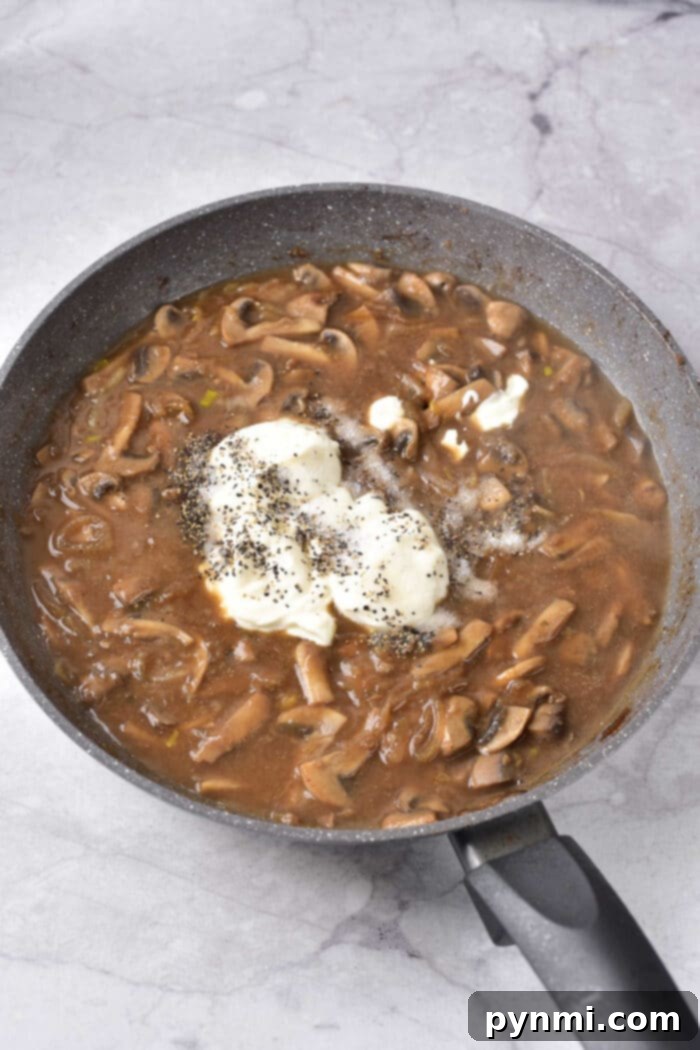Velvety Dairy-Free Beef Stroganoff 5 A final close-up of Dairy Free Stroganoff in a bowl, ready to be enjoyed.