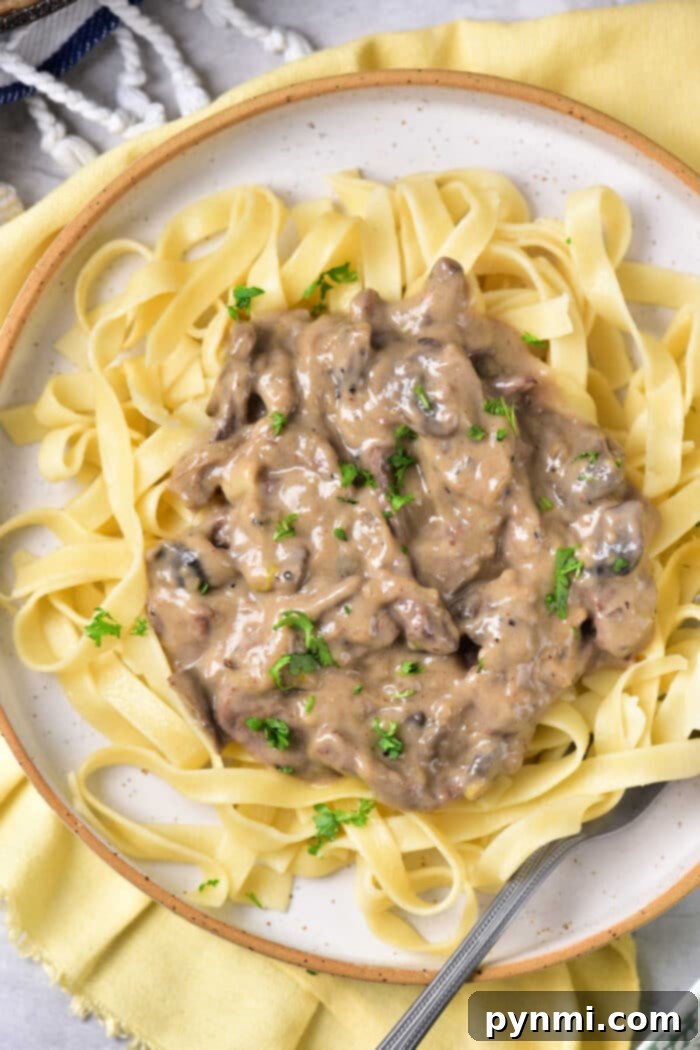 Velvety Dairy-Free Beef Stroganoff 7 Another view of the Dairy Free Stroganoff, showing its inviting texture and rich sauce.