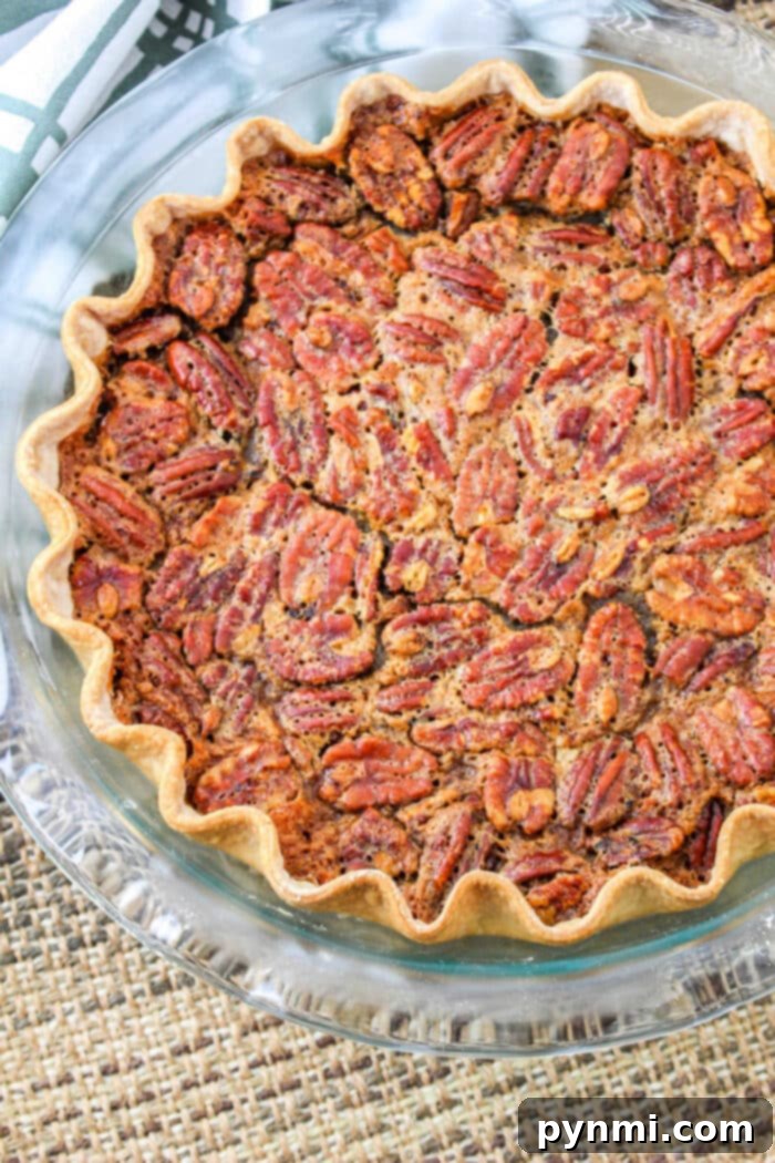 Beautifully baked Pumpkin Pie with Pecans, featuring a rich, golden pecan topping and a creamy pumpkin base, ready to be served.