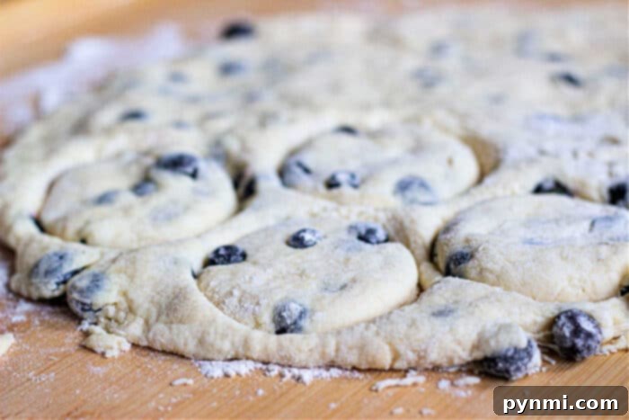 Fluffy Blueberry Biscuits 5 How to Bake Biscuits with Blueberries on a baking sheet