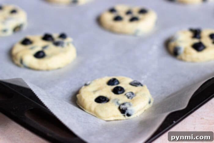 Fluffy Blueberry Biscuits 6 Glazed Blueberry Biscuits on a cooling rack
