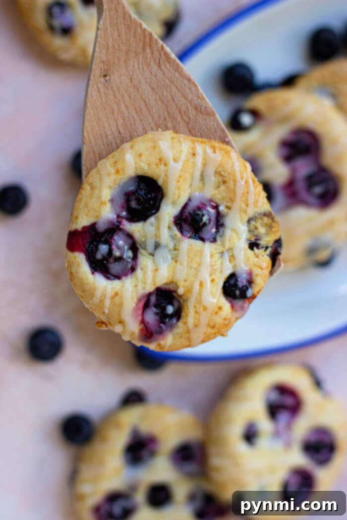 Fluffy Blueberry Biscuits 7 Biscuits with Blueberries on a serving plate