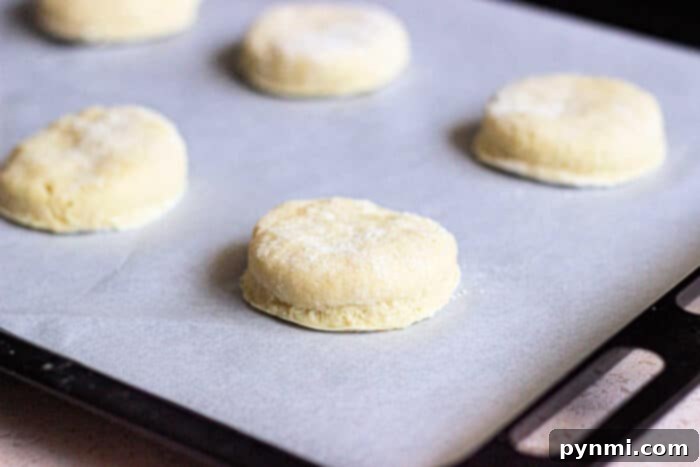 Honeyed Biscuits 5 Honey Butter Biscuits with Bisquick, a quick and easy option.
