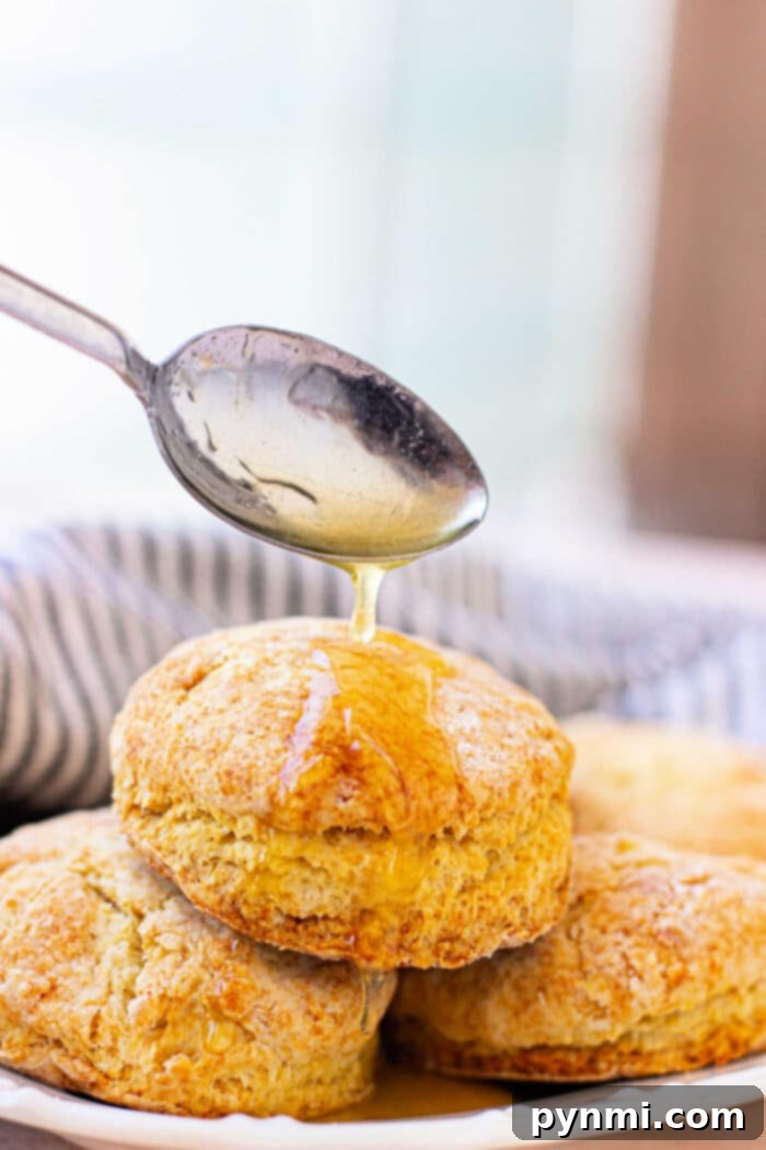 Honeyed Biscuits 7 Honey Biscuits from Scratch, ready to be enjoyed.