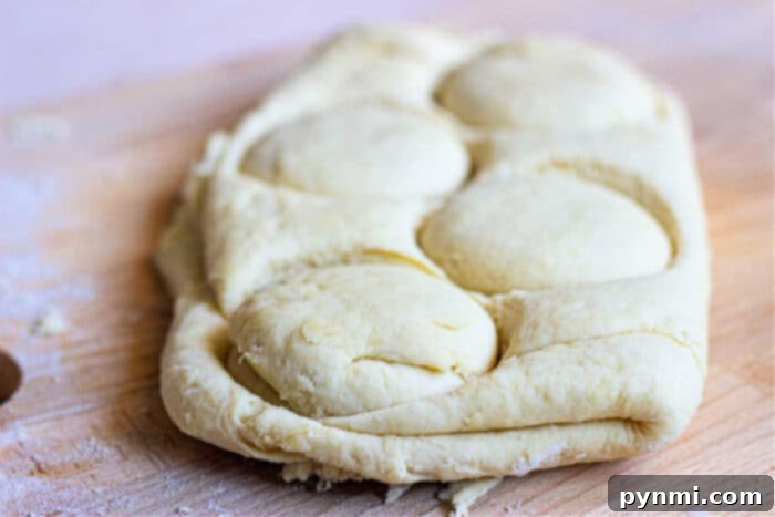 Pillowy Vegan Biscuits with Savory Gravy 3 Biscuit Recipe No Butter