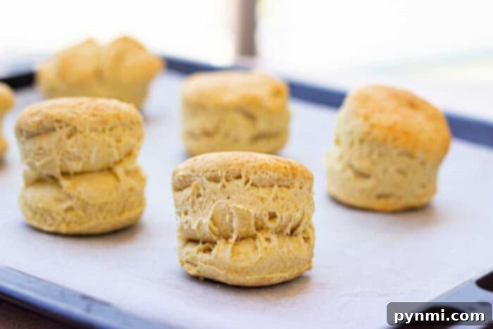 Pillowy Vegan Biscuits with Savory Gravy 4 Vegetarian Biscuits and Gravy