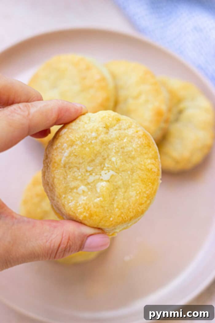 Rustic Dutch Oven Biscuits 2 Dutch Oven Biscuits