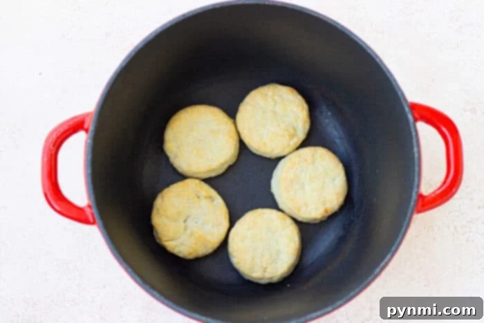Rustic Dutch Oven Biscuits 6 Dutch Oven Biscuits in Oven