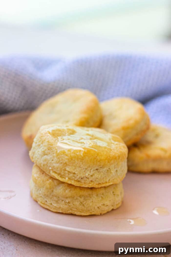 Rustic Dutch Oven Biscuits 7 Baking Biscuits in a Dutch Oven