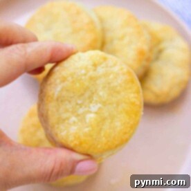 A hand holding a freshly baked Dutch Oven biscuit over a plate of warm, golden biscuits.