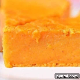 Crustless Pumpkin Pie Recipe