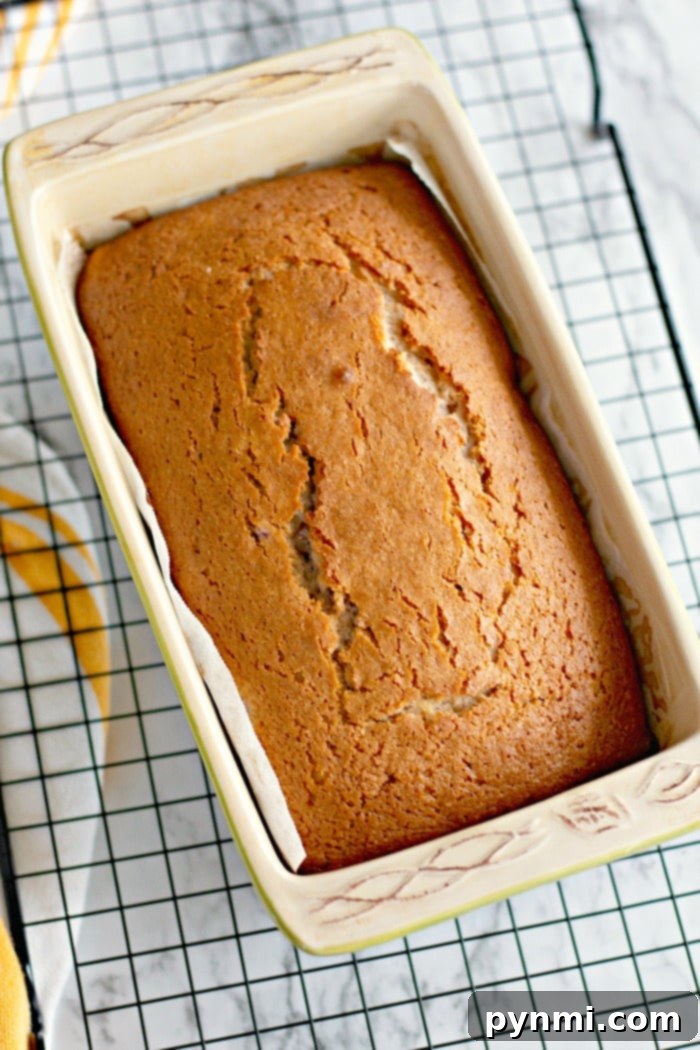 Best Maraschino Cherry Bread Recipe - a fluffy and sweet loaf, ideal for sharing or a personal treat. A perfectly golden-brown Maraschino Cherry Bread loaf in a rectangular ceramic baking pan, resting on a cooling rack.