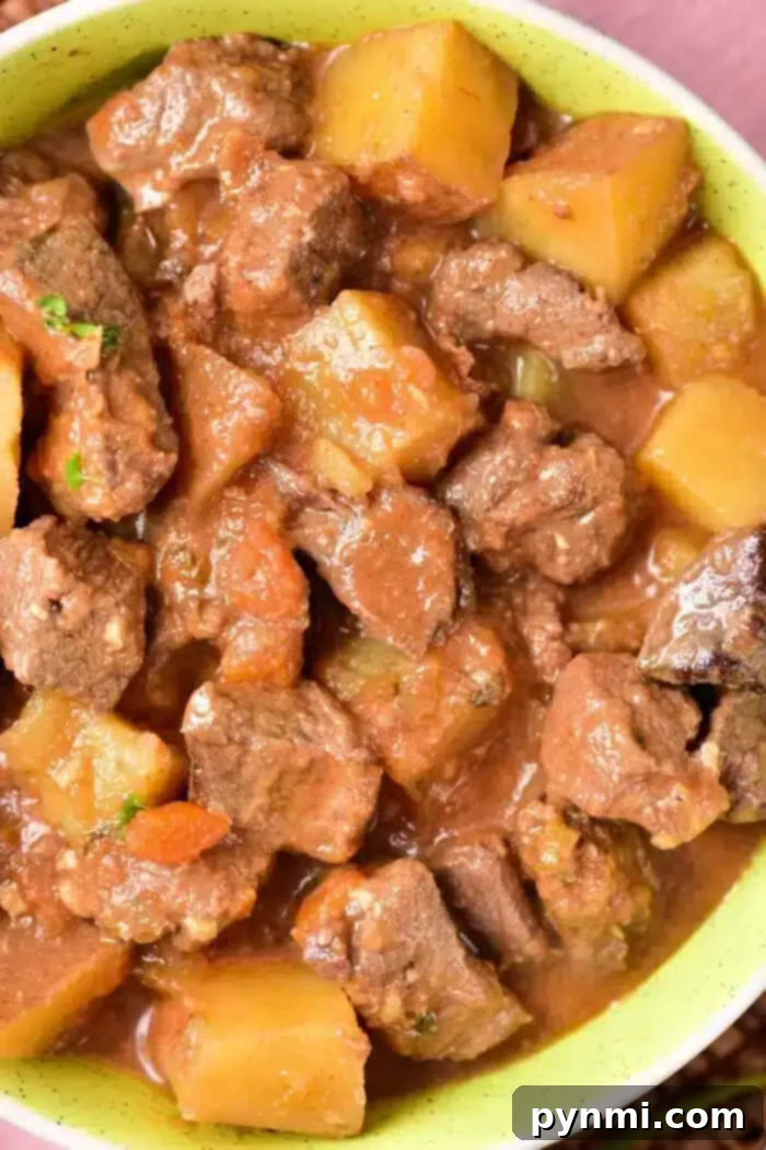 A close-up view of a bowl filled with a hearty beef stew, featuring tender chunks of beef, potato pieces, and a rich brown sauce. The stew appears thick and savory, with visible herbs and vegetables mixed in—reminiscent of a classic Venison Stew Recipe.
