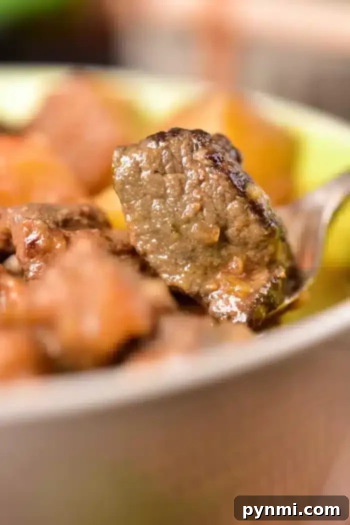 A close-up image of a spoon lifting a piece of cooked venison from a dish. The meat is part of a hearty venison stew, with other pieces visible in the blurred background. The meat is brown and looks well-cooked, inviting you to try this delicious venison stew recipe.