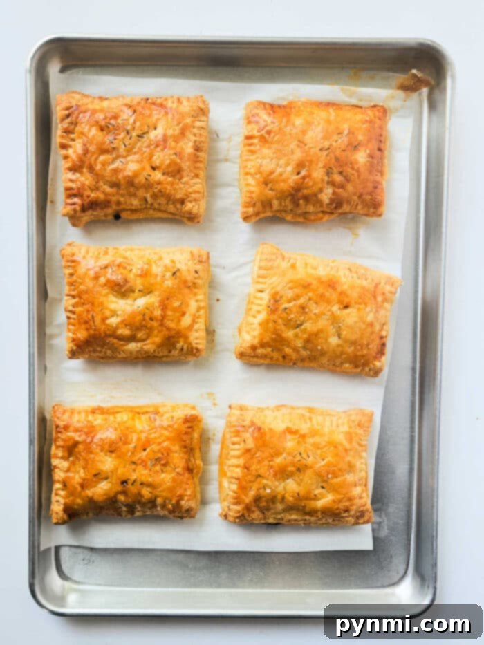 Meat Hand Pie Recipe - Close up of a flaky meat hand pie