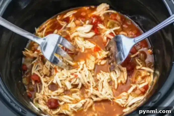 Kickin Rotel Tacos 6 Two forks are shredding cooked chicken in a slow cooker. The chicken mingles with a vibrant Rotel sauce featuring diced tomatoes and green peppers, perfect for mouth-watering tacos.