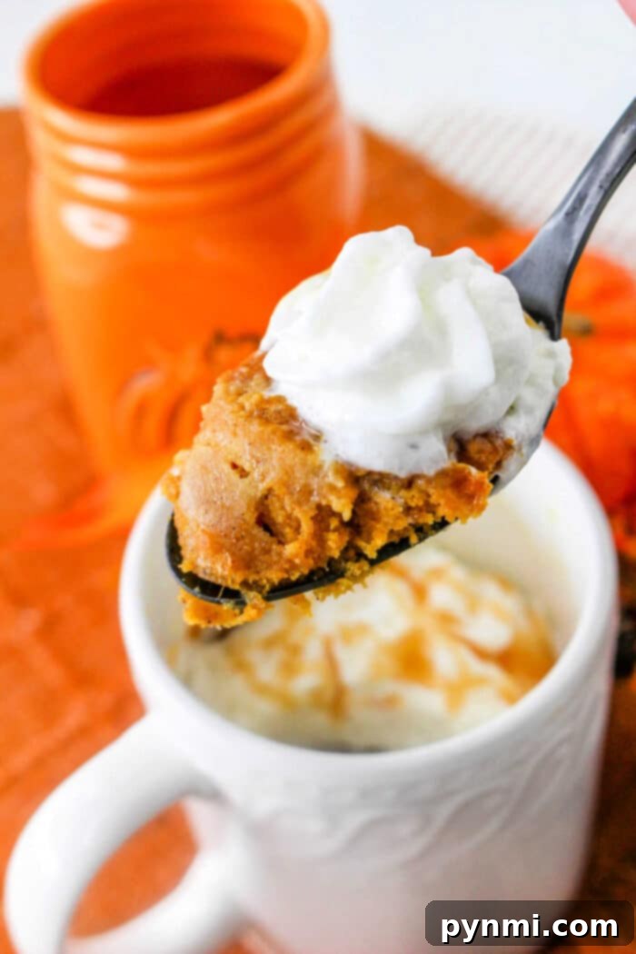 Cozy Pumpkin Mug Delight 2 Mug Cake Pumpkin