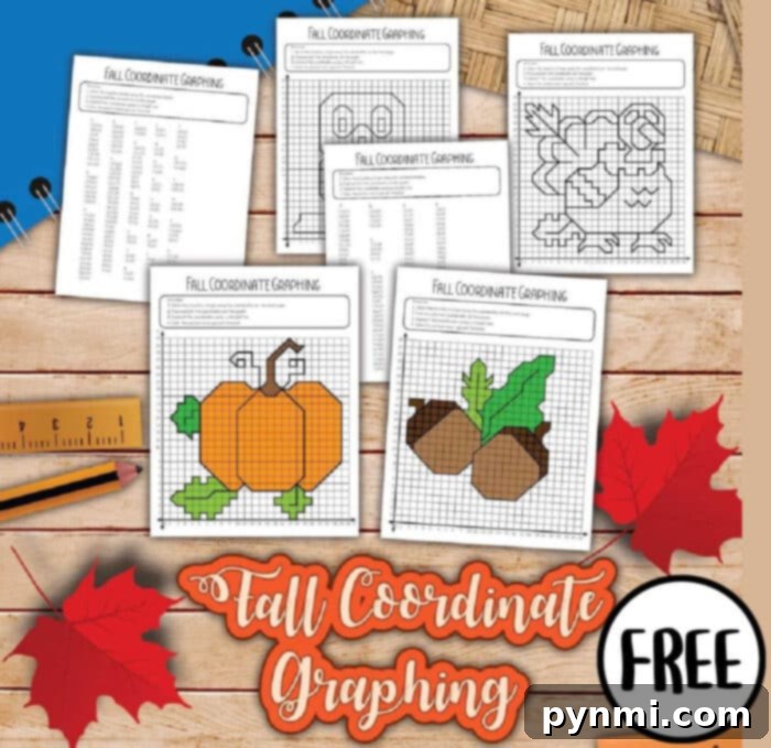 Plot Your Free Mystery Art 5 Engaging Graphing Mystery Picture for enhanced learning