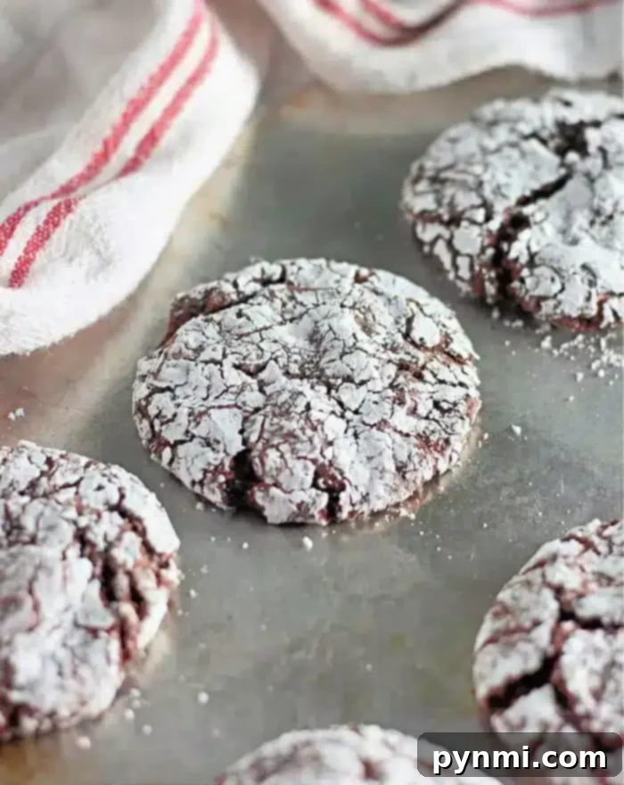 Effortless Toaster Oven Cookies 2 A close-up of chocolate crinkle cookies on a baking sheet. The cookies are cracked on top and dusted with powdered sugar, revealing the chocolate underneath. Freshly baked as toaster oven cookies, a white towel with red stripes is partially visible in the background.