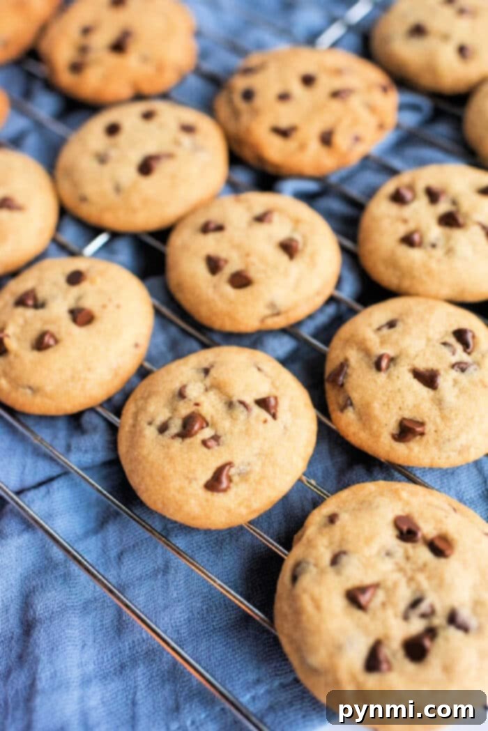 Effortless Toaster Oven Cookies 5 Toaster Oven Chocolate Chip Cookies
