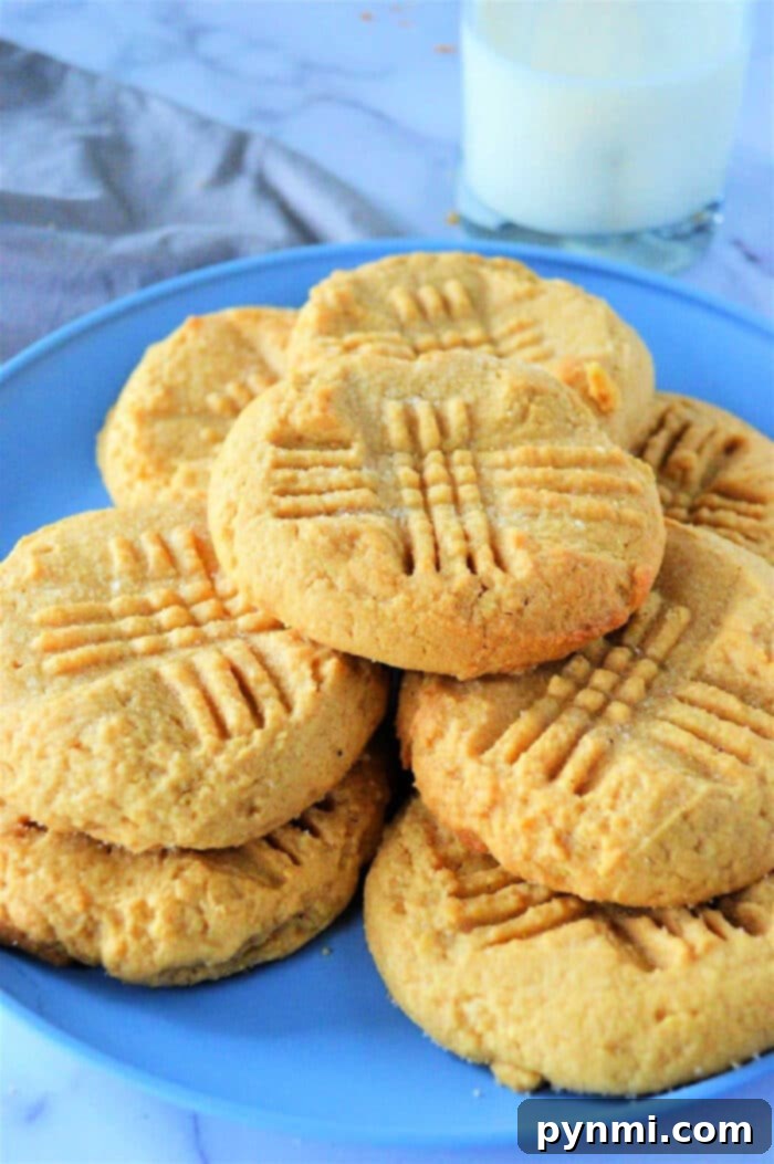 Effortless Toaster Oven Cookies 6 3 Ingredient Toaster Oven Cookies