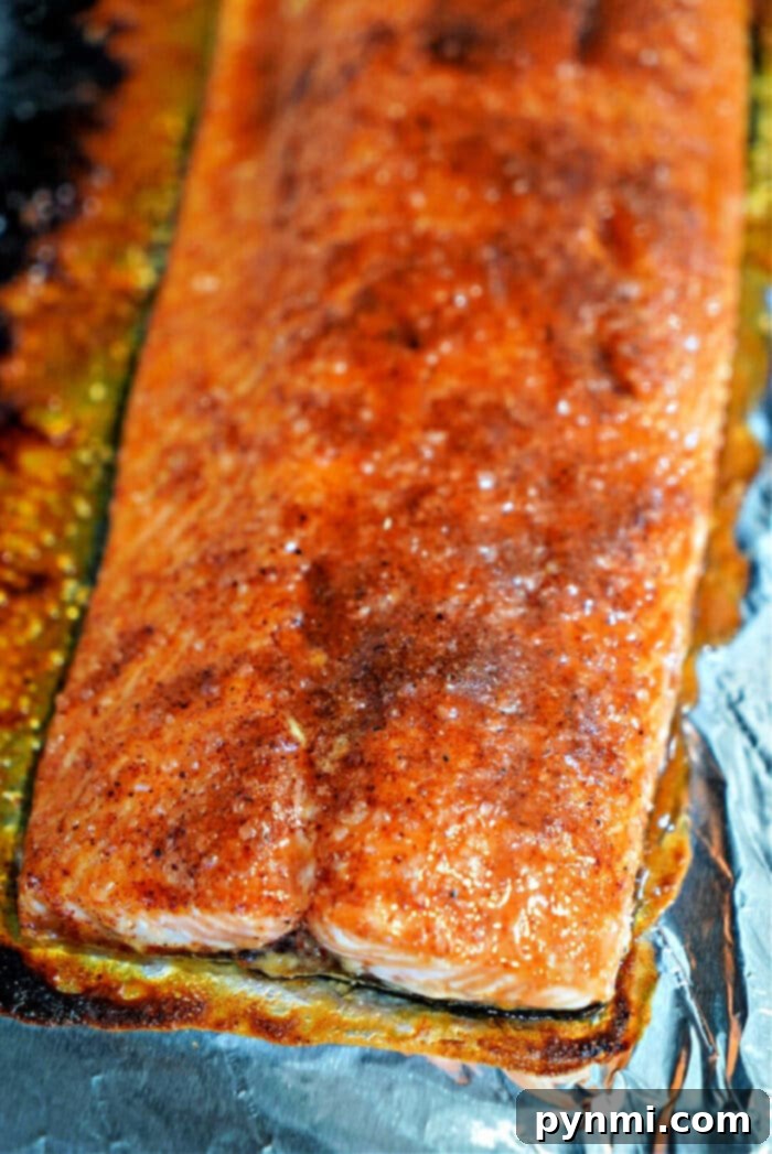 Perfect Toaster Oven Salmon Every Time 2 Salmon Toaster Oven