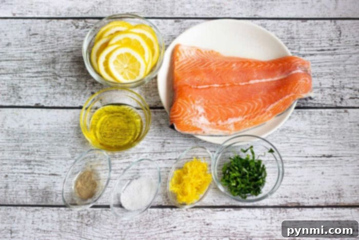 Perfect Toaster Oven Salmon Every Time 3 Salmon in Toaster Oven