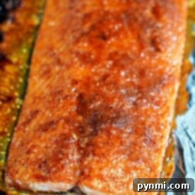 Salmon Toaster Oven