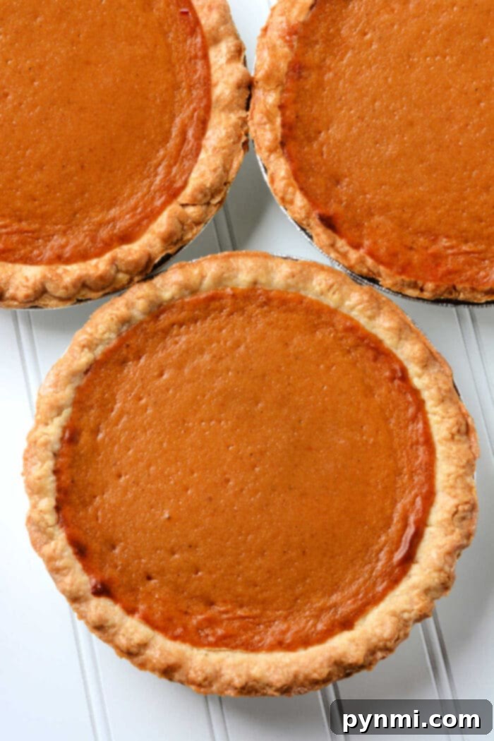 Pumpkin Pie Done Right 2 How to Tell if a Pumpkin Pie is Done: Checking the Center for Doneness