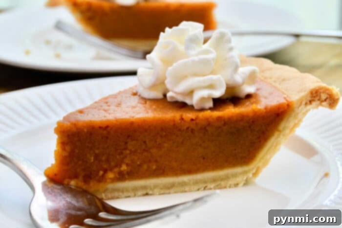 Pumpkin Pie Done Right 3 How to Bake a Pumpkin Pie: Pouring the Filling into the Crust