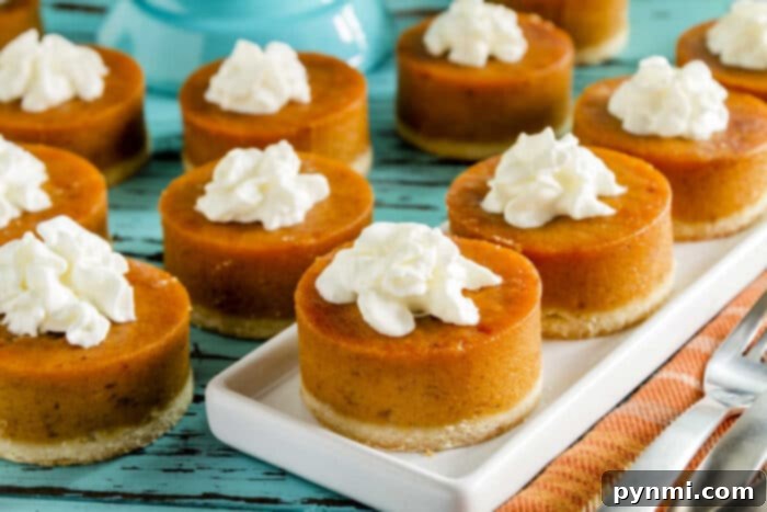 Pumpkin Pie Done Right 4 How do you know if a pumpkin pie is fine: Performing the Jiggle Test