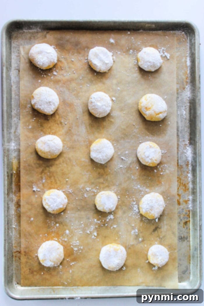 Yellow Cake Mix Cookies with Butter Close up of two perfect Yellow Cake Mix Cookies with Butter, dusted with powdered sugar.