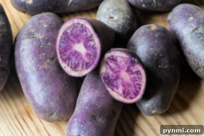 Unearthing Potato Varieties 5 blue potatoes
