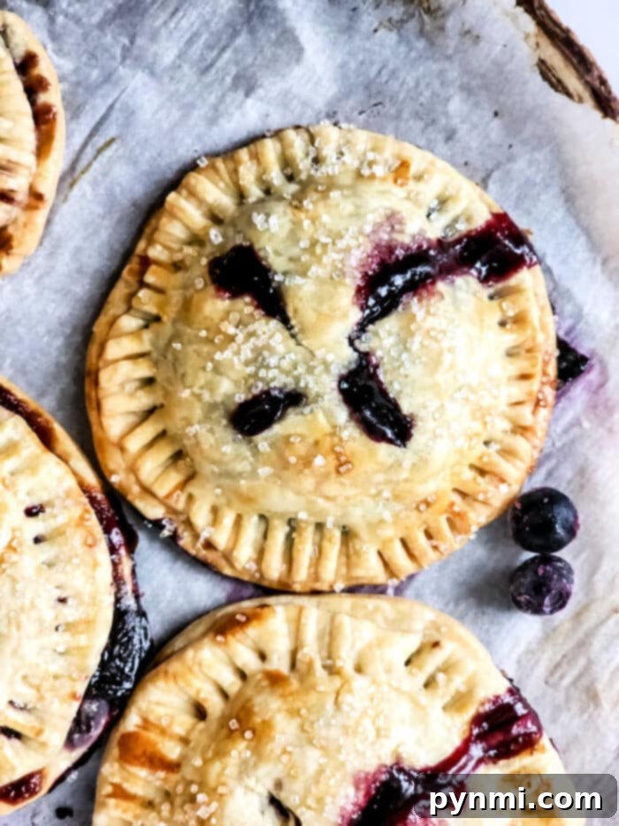 Blueberry Bliss Air Fryer Bites 2 Golden brown blueberry hand pies, some with a dusting of powdered sugar, arranged appealingly.